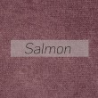 blue_Salmon_Tyber salmon