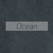 brutus_Ocean_Tyber ocean