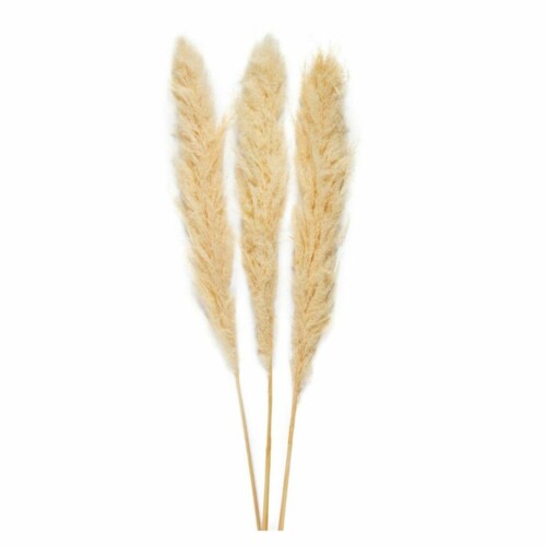 Ramo plumas 115 cm Pampas AX70131